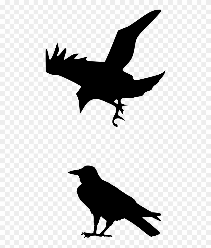 Raven Silhouette Png Clipart
