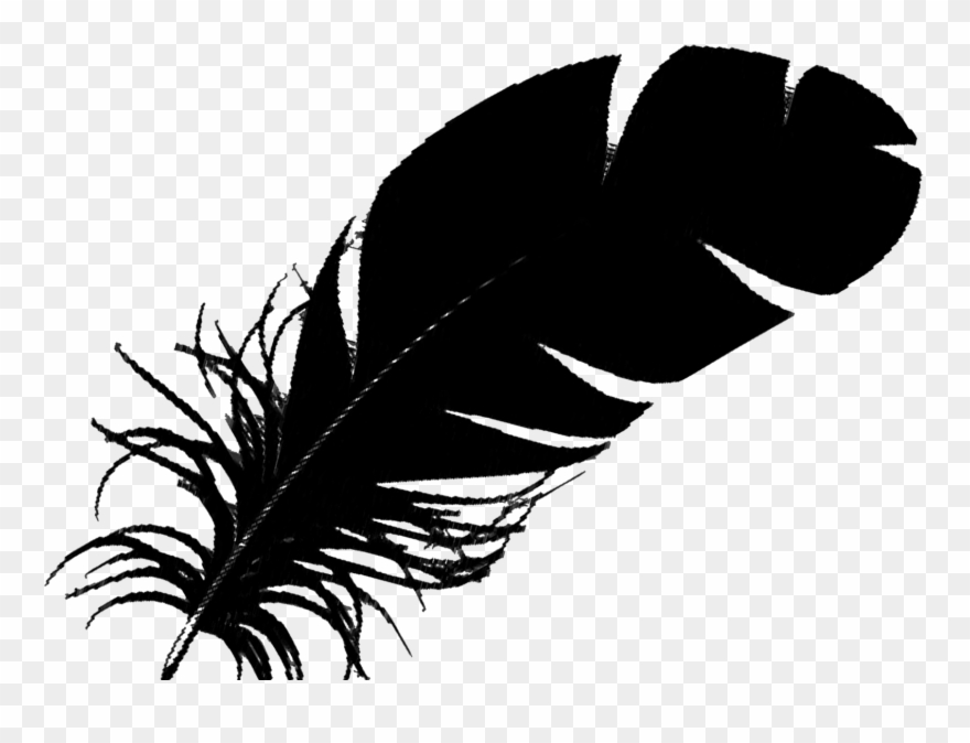 1550 X 1118 8 - Single Black Feather Clipart
