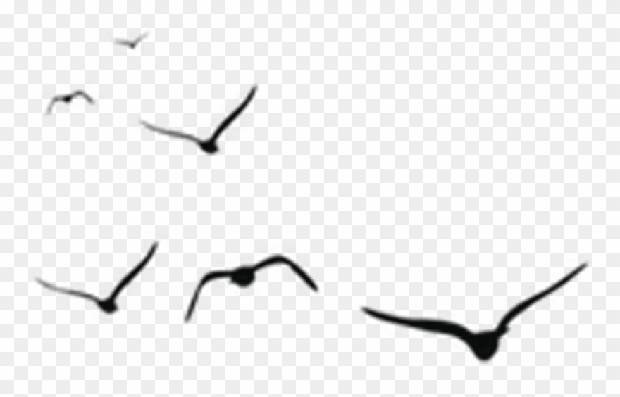 Free Online Crane Bird Animals Birds Vector For Design - Bird Clipart