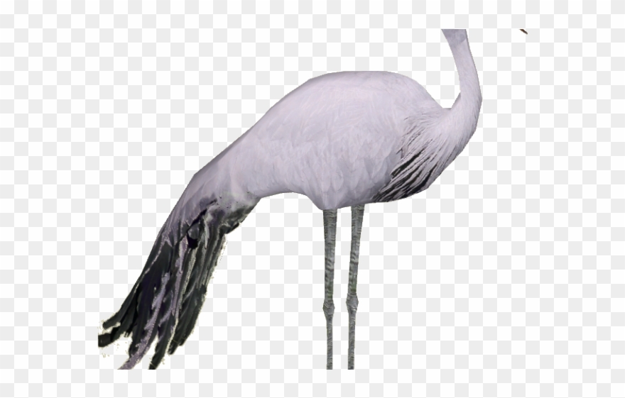Crane Clipart Blue Crane - Crane - Png Download
