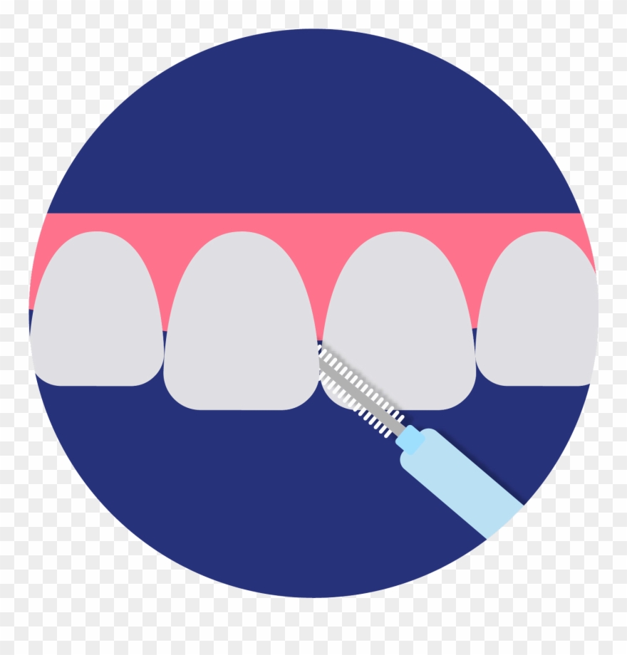 Strengthen Your Teeth And Gums By Cleaning Even In Clipart
