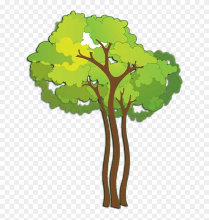 Owen Web Design Is Your Number One Source For - Oak Clipart