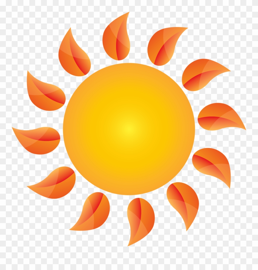 Financial Controls Policies And Procedures For Trail - Drawing Clipart