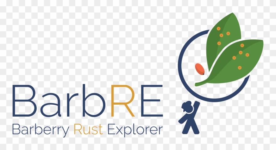 Barberry Rust Explorer Tracking Common Barberry Across Clipart