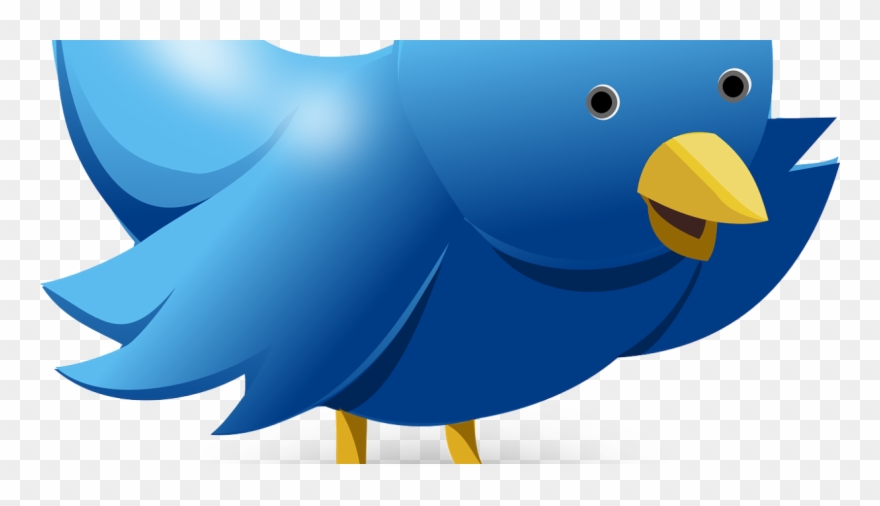 Ethereum's Vitalik Buterin Appeals To Twitter Founder - Computer Logo With Bird Clipart