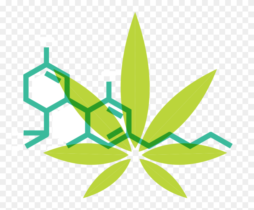 What Is Cannabis - Cannabis Clipart