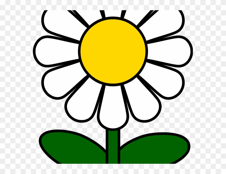 Cartoon Daisy Flower Free Daisy Images Download Free - Daisy Clip Art - Png Download