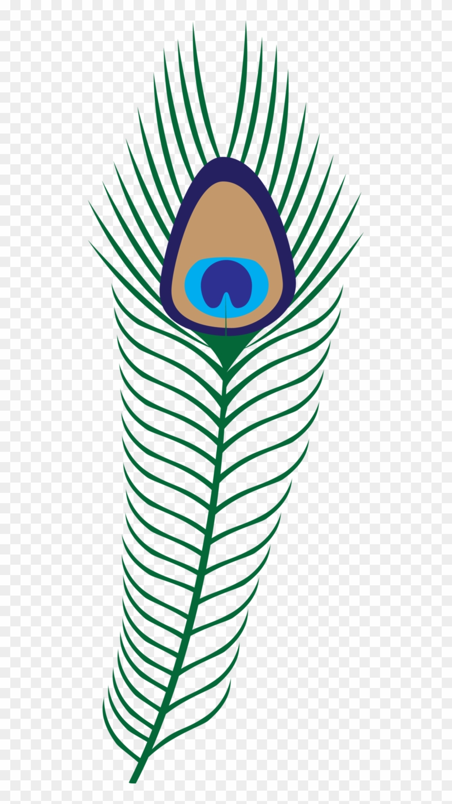 Transparent Background Png Format Peacock Feathers Clipart