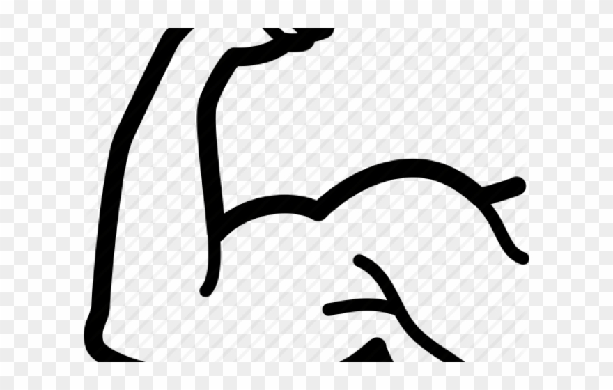 Bodybuilding Clipart Flex Bicep - Png Download