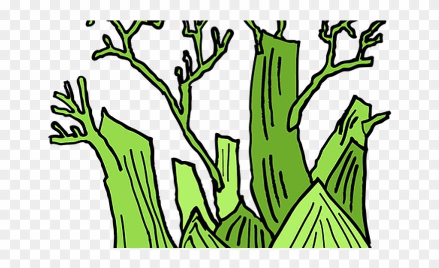 Bad Breath, Oral Hygiene, Cure, Remedies, Fennel, Oral - Fennel Plant Drawing Clipart