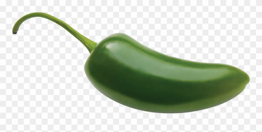 Probably The Most Famous Pepper, The Jalapeno Is Widely - Serrano Pepper Clipart