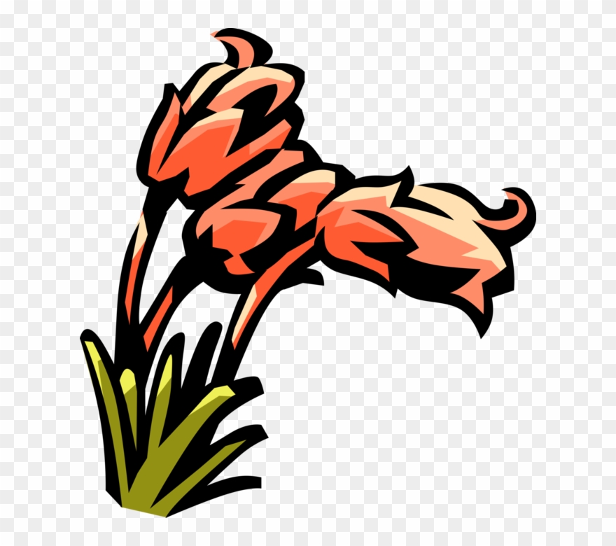 Vector Illustration Of Heather Botanical Horticulture Clipart