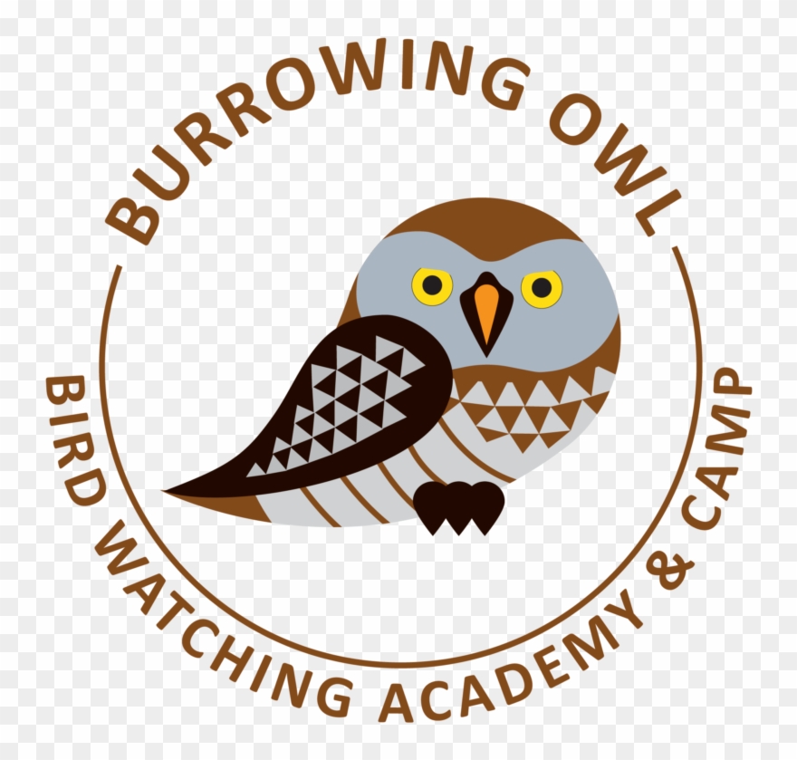 Drbccc Hindu College Logo Clipart