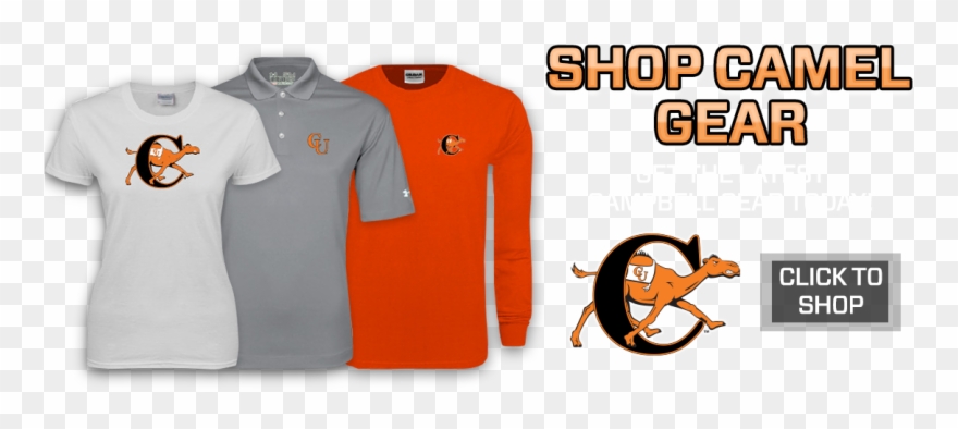 Campbell Fighting Camels And Lady Camels Clipart