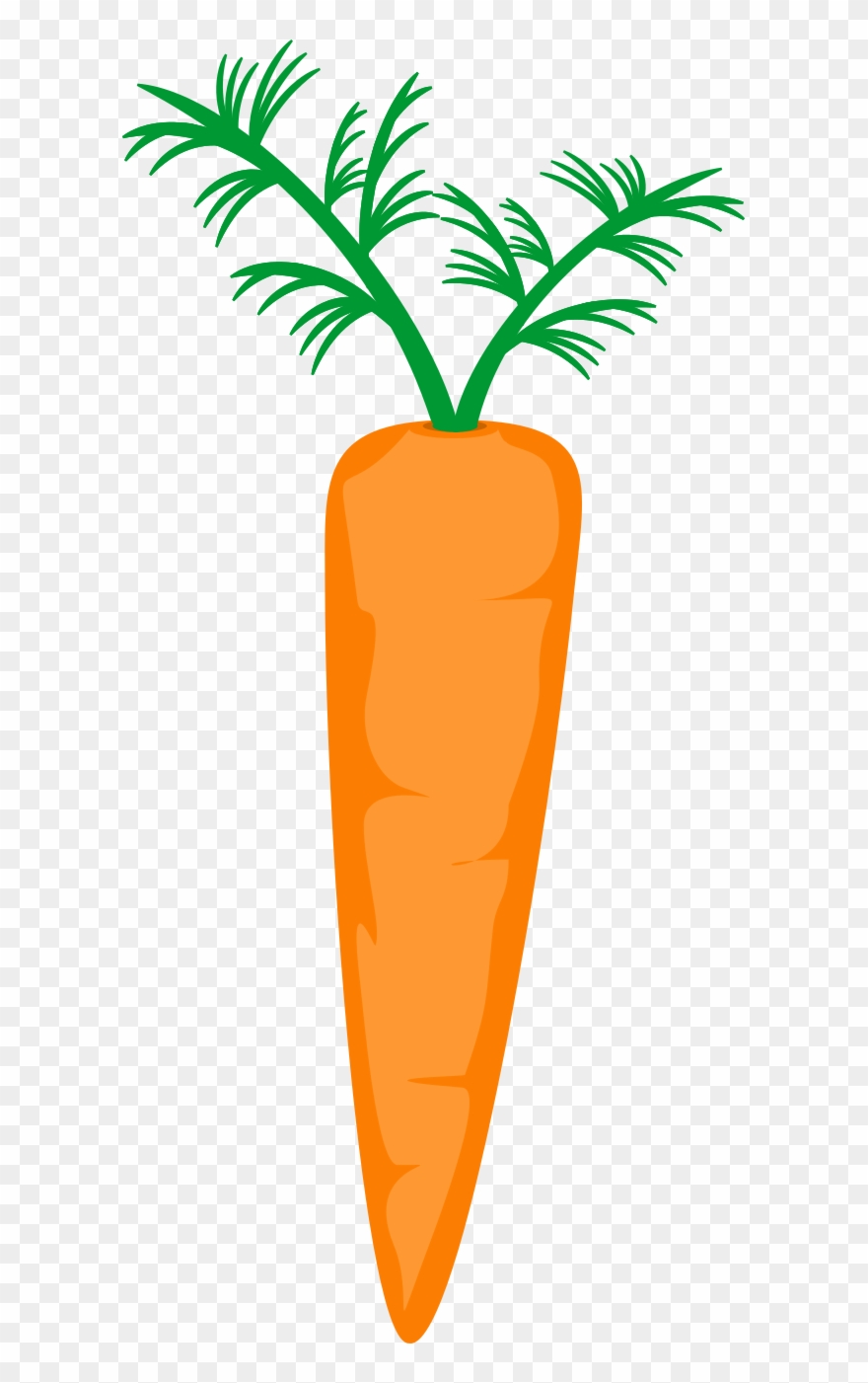 Carrot - Clip Art - Png Download
