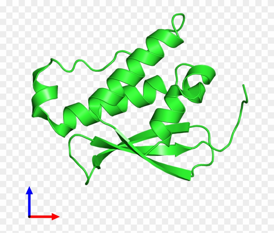 Pdb 2wwe Coloured By Chain And Viewed From The Front - Graphic Design Clipart