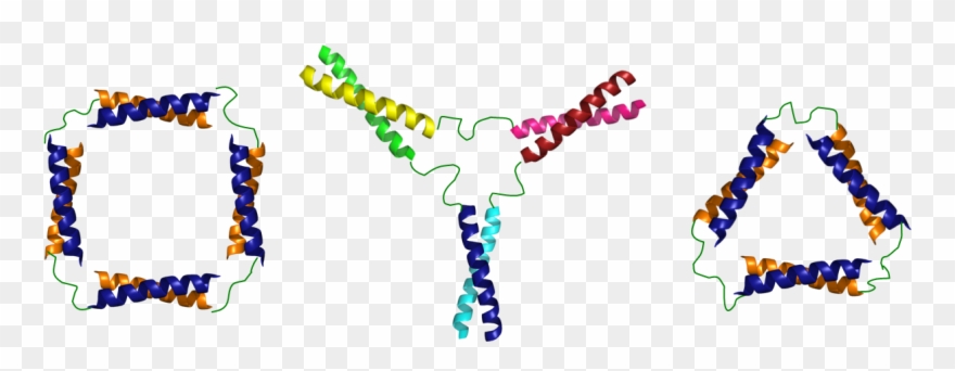 Some Designs For Coiled-coil Nanostructures - Peptide Self Assembly Coiled Coil Clipart
