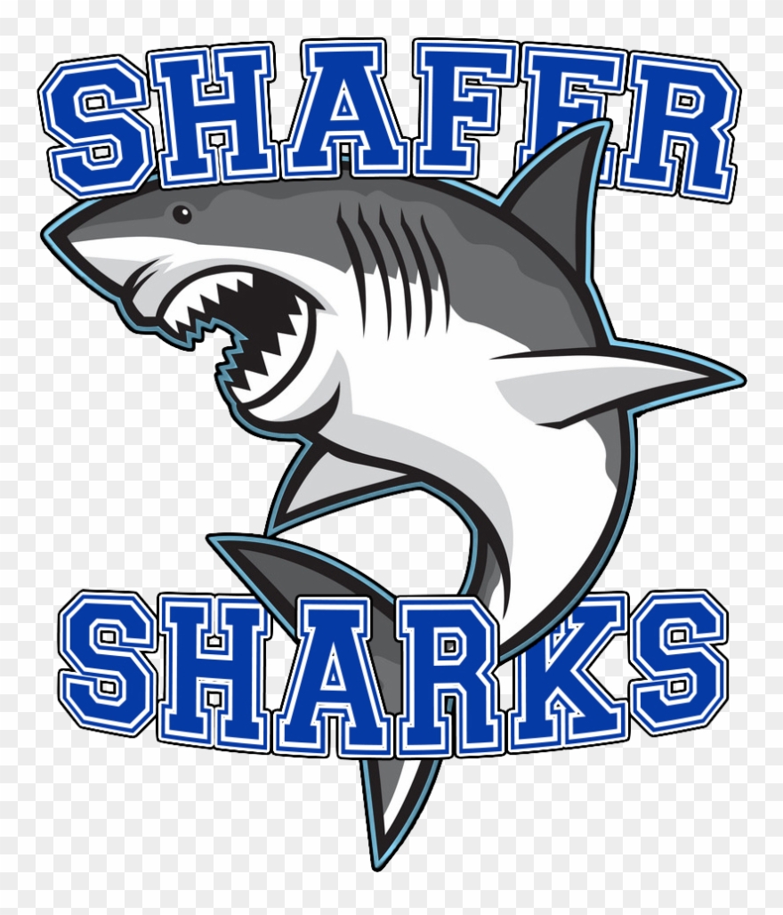 Shafer Sharks - Great White Shark Clipart