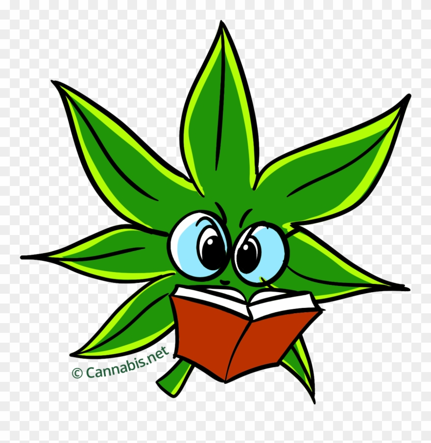Transparent Weed Gif Transparent Background Clipart 3541169 Pinclipart