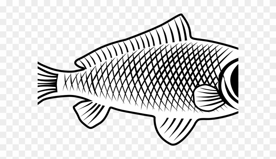 Carp Clipart Golden Carp - Tubo In Gomma Per Irrigazione - Png Download