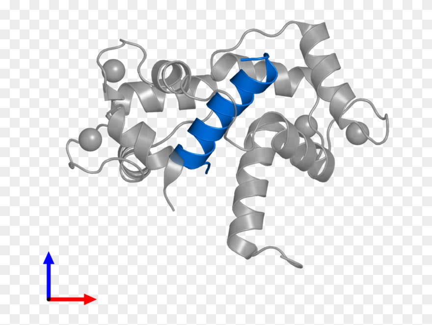 <div Class='caption-body'>pdb Entry 2o60 Contains 1 - Scorpion Clipart