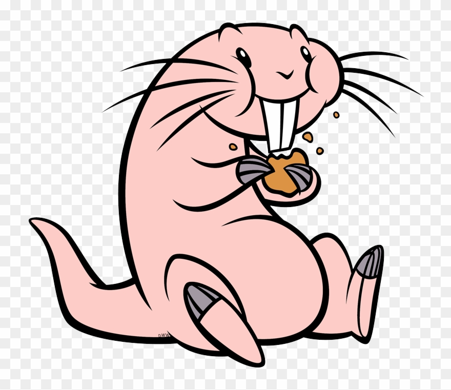 Rufus Eating A Cookie - Rufus Kim Possible Transparent Clipart