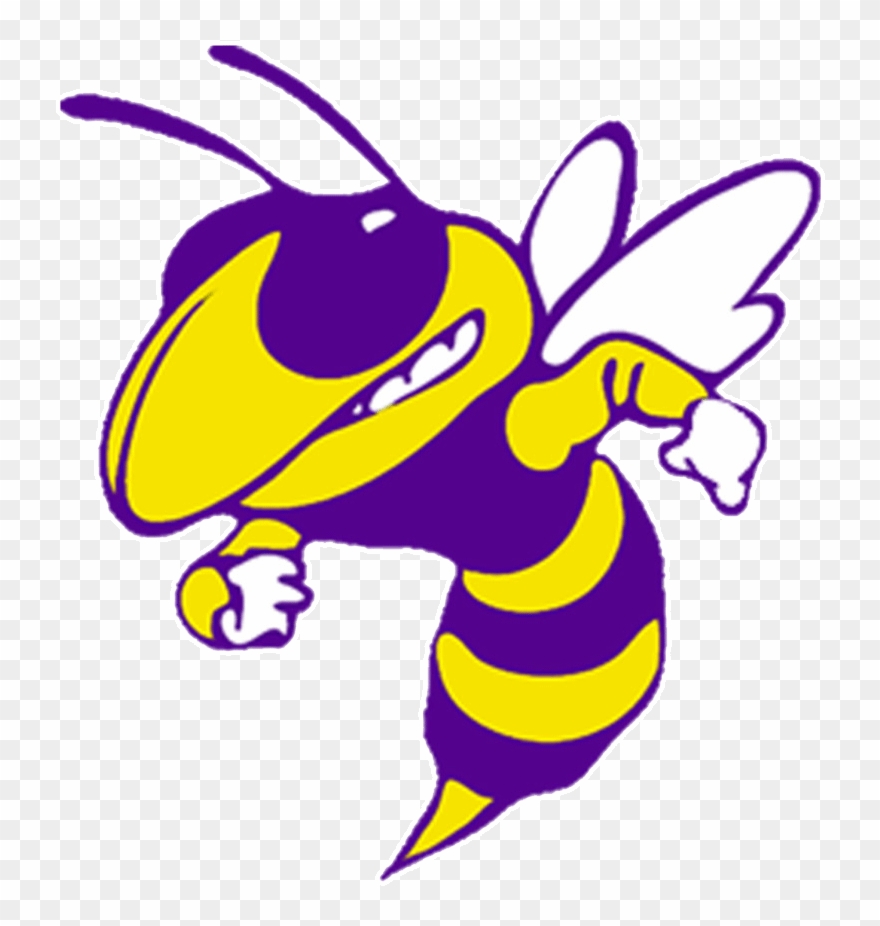 Blue Ridge Yellow Jackets - Blake High School Yellow Jacket Clipart