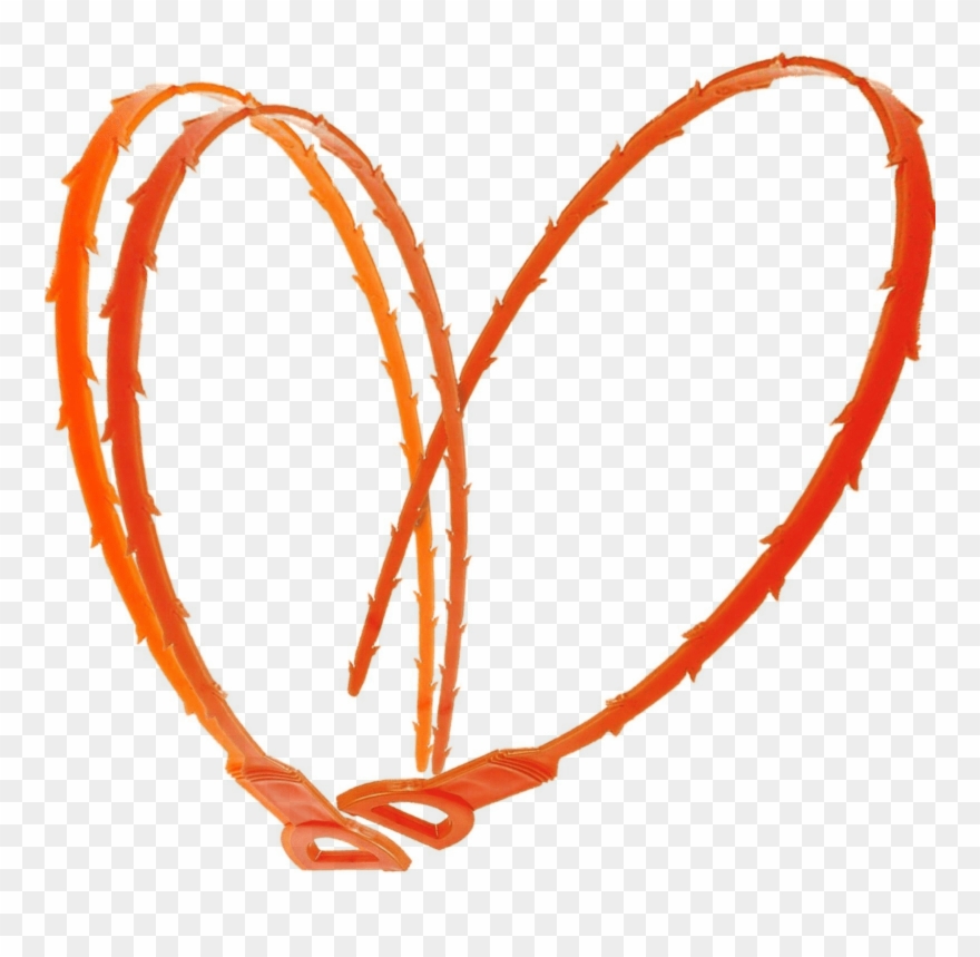 Norton Secured - Drain Cleaner Clipart