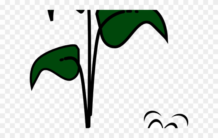 Dirt Clipart Bean Seedling - Png Download