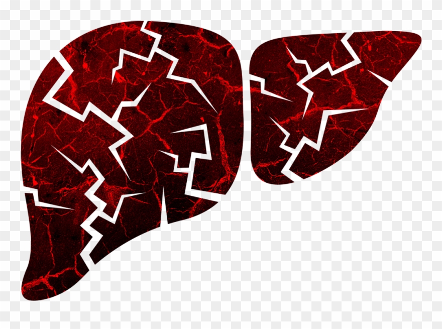 What Drug Use In The Here And Now Does To One's Future Clipart