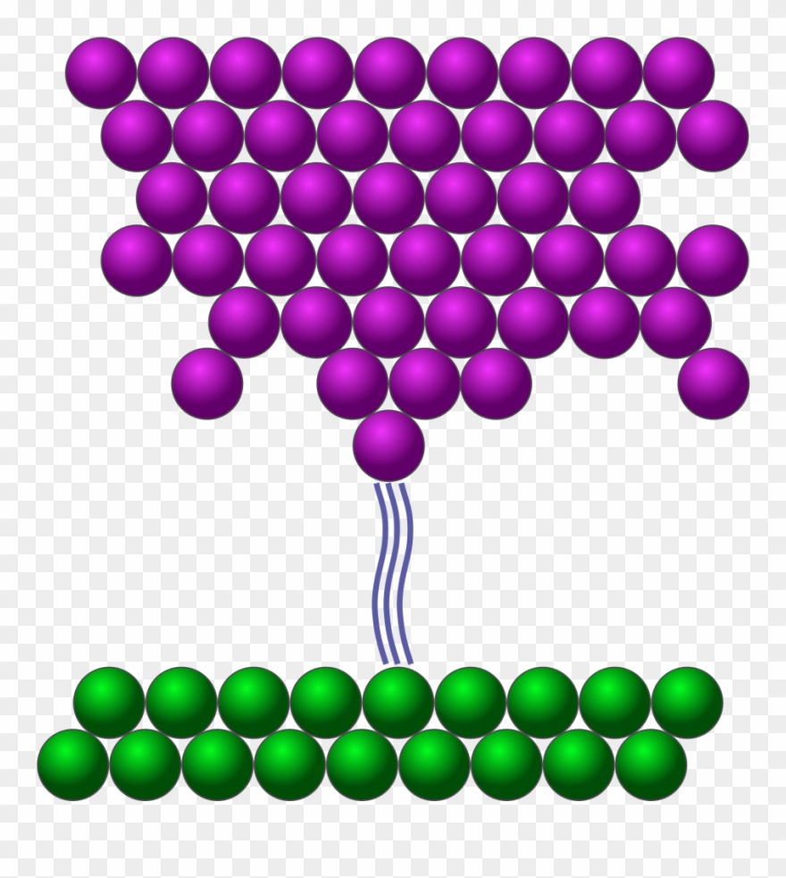 Scanning Tunneling Microscope Clipart