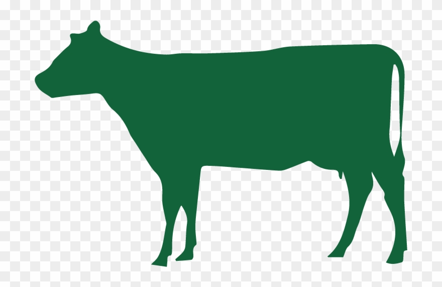 Beef Lung 1 Pound - Dairy Cow Clipart