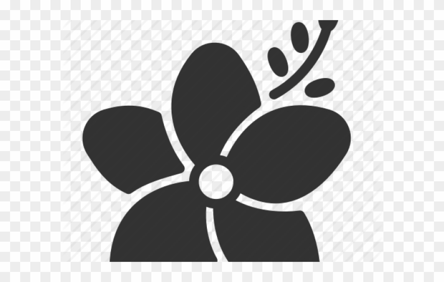 Plumeria Clipart White Blossom - Flower - Png Download