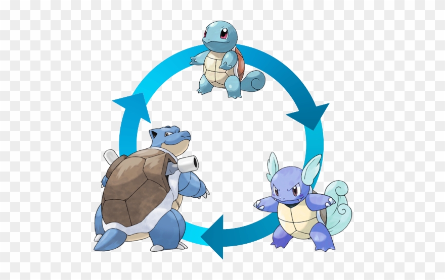 A Squirtle Becomes A Wartortle, A Wartortle Becomes - Pokemon Go Squirtle Evolutions Clipart