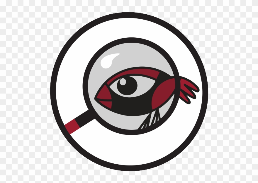 Realizar Estudios Que Permitan Establecer Diagnósticos - Circle Clipart