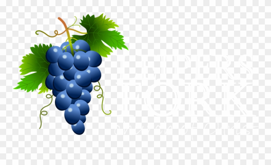 Logo White - Blue Grapes Clipart - Png Download