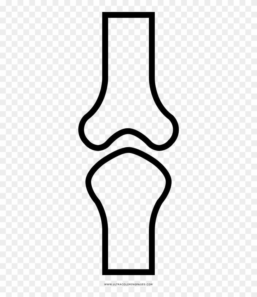 Skeletal System Coloring Page - Skeletal System Icon Clipart