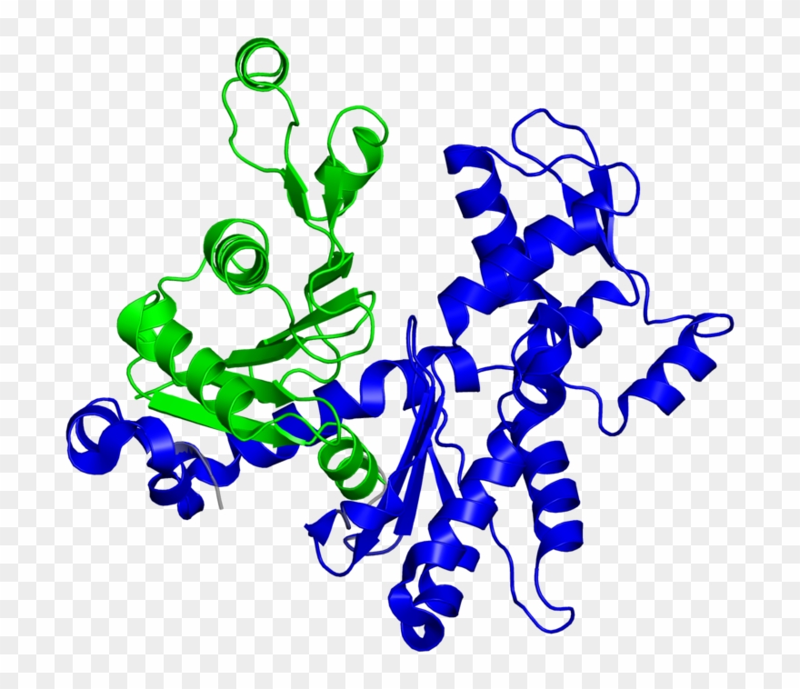 <div Class='caption-body'>2 Copies Of Scop Domain < - Illustration Clipart