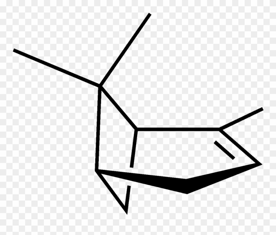 Alpha Pinene 2d Skeletal - Alpha Pinene Clipart