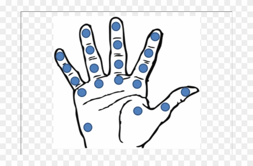 Location Of The 20 Fsr Sensors In Kargov Et Al - Kalmados Clipart