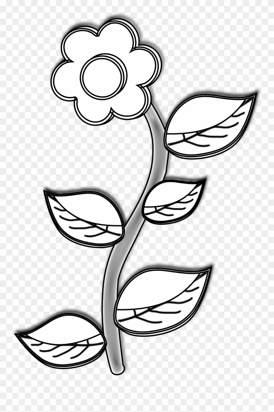 Clipart Of Drawings, Plant And And Plant In - Line Art - Png Download