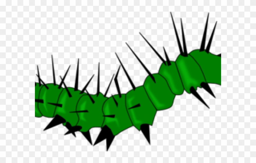 Caterpillar Clipart Real - Transparent Caterpillar Vector - Png Download