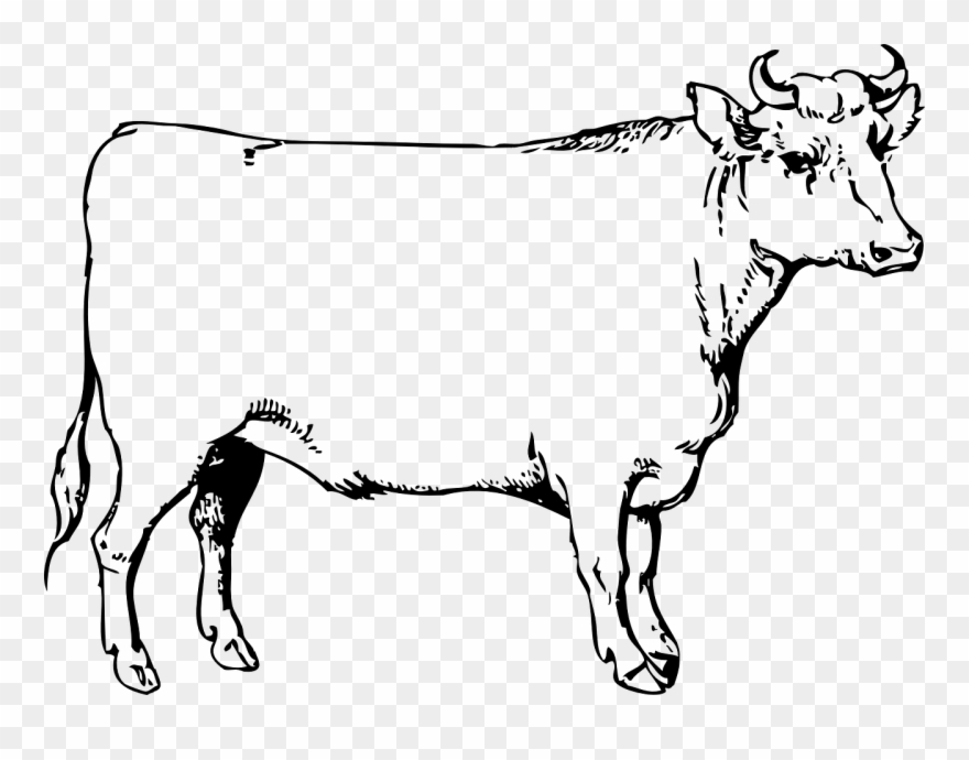 Ox Clip Art - Png Download