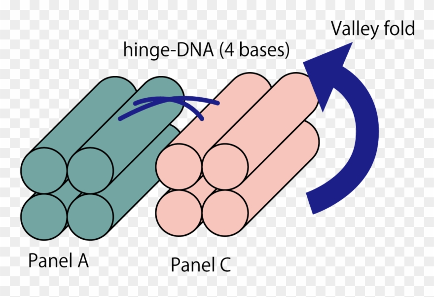 7 Hinge Dna Clipart
