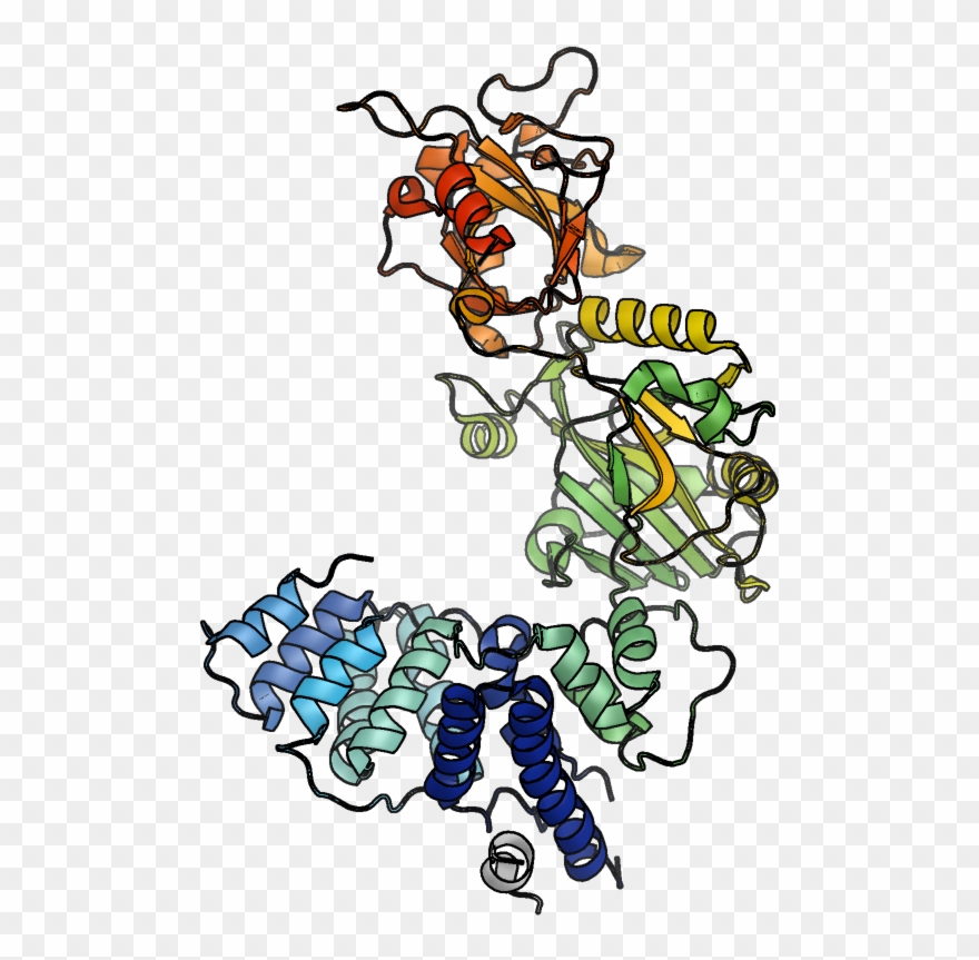 Human Dna Ligase Iv In Complex With Artemis Fragment - Illustration Clipart