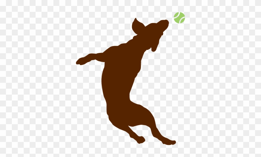 Dog Catches Something Clipart
