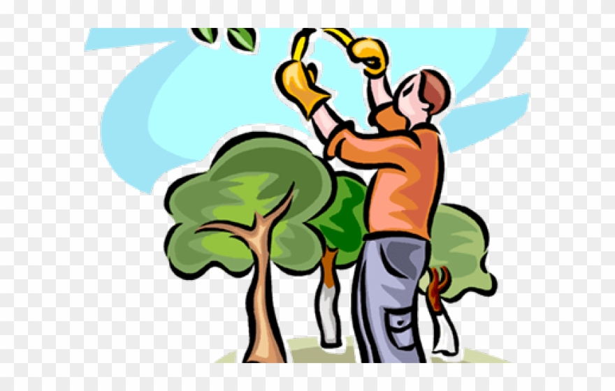Hedges Clipart Hedge Trimming - Tree Trimming Clip Art - Png Download