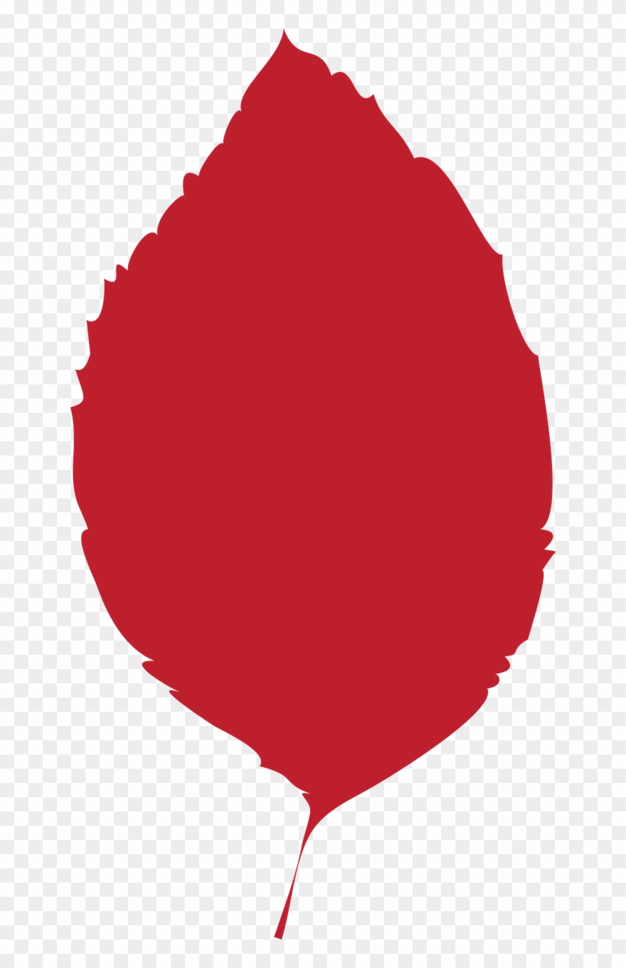 Leaf Autumn Leaf Dry Leaf Clipart