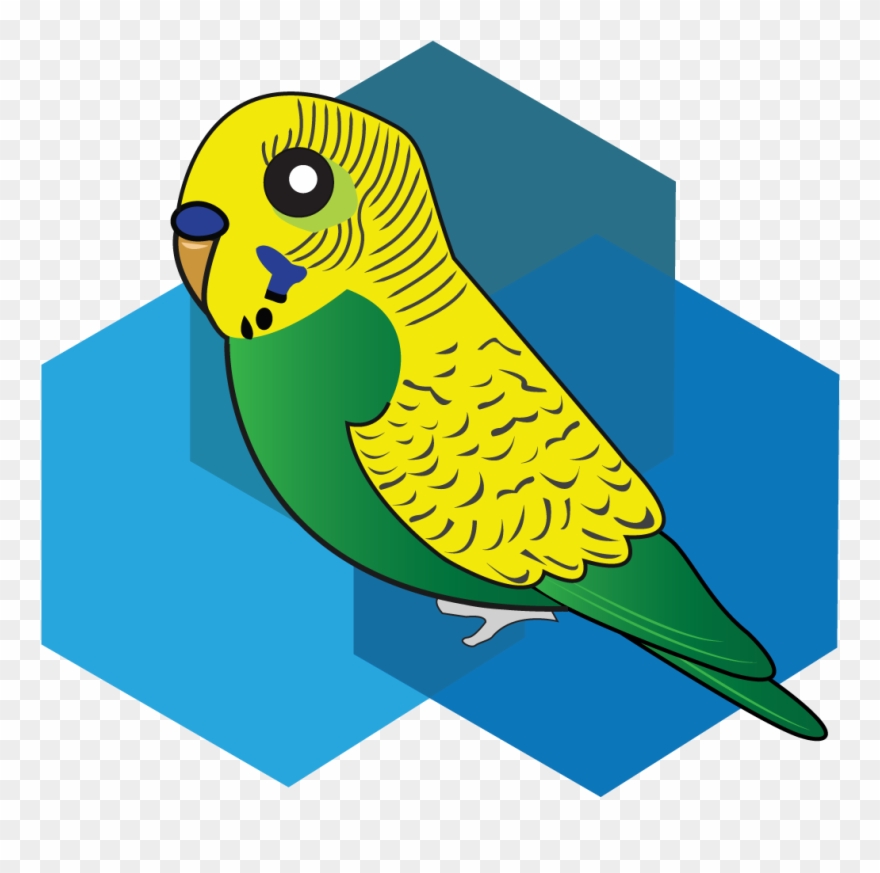 0 Replies 0 Retweets 0 Likes - Budgie Clipart