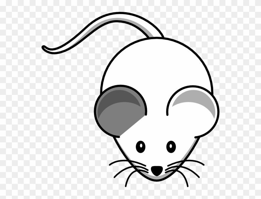 This Free Clip Arts Design Of White Mouse Right Grey - Png Download